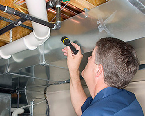 Inspections